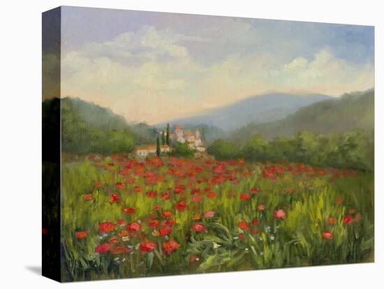 Umbrian Poppy Field-Mary Jean Weber-Stretched Canvas