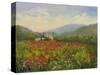 Umbrian Poppy Field-Mary Jean Weber-Stretched Canvas