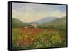 Umbrian Poppy Field-Mary Jean Weber-Framed Stretched Canvas