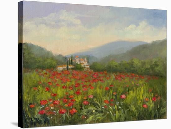 Umbrian Poppy Field-Mary Jean Weber-Stretched Canvas