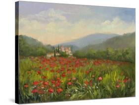 Umbrian Poppy Field-Mary Jean Weber-Stretched Canvas