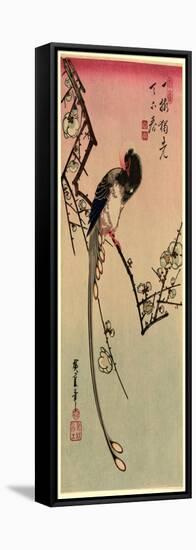 Ume Ni Onagadori-Utagawa Hiroshige-Framed Stretched Canvas