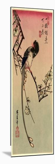 Ume Ni Onagadori-Utagawa Hiroshige-Mounted Giclee Print