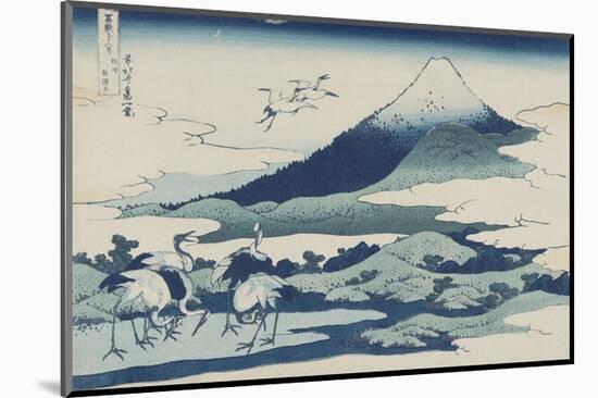Umezawa Manor in Sagami Province-Katsushika Hokusai-Mounted Art Print