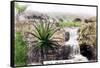 Umlaas Falls, South Africa, C1920S-null-Framed Stretched Canvas