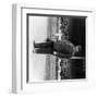 Umpire William Klem, Baseball Photo-Lantern Press-Framed Art Print