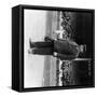 Umpire William Klem, Baseball Photo-Lantern Press-Framed Stretched Canvas