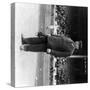 Umpire William Klem, Baseball Photo-Lantern Press-Stretched Canvas