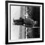 Umpire William Klem, Baseball Photo-Lantern Press-Framed Art Print