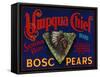 Umpqua Chief Pear Crate Label - Sutherlin, OR-Lantern Press-Framed Stretched Canvas