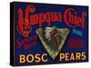 Umpqua Chief Pear Crate Label - Sutherlin, OR-Lantern Press-Stretched Canvas