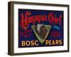 Umpqua Chief Pear Crate Label - Sutherlin, OR-Lantern Press-Framed Art Print