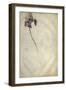 Un iris-Jacopo Bellini-Framed Giclee Print