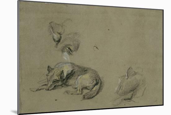 Un loup couché et deux têtes-Pieter Boel-Mounted Giclee Print
