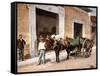 Un Mulo De La Habana, 1900-null-Framed Stretched Canvas