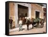 Un Mulo De La Habana, 1900-null-Framed Stretched Canvas