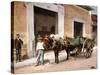Un Mulo De La Habana, 1900-null-Stretched Canvas