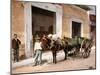 Un Mulo De La Habana, 1900-null-Mounted Giclee Print