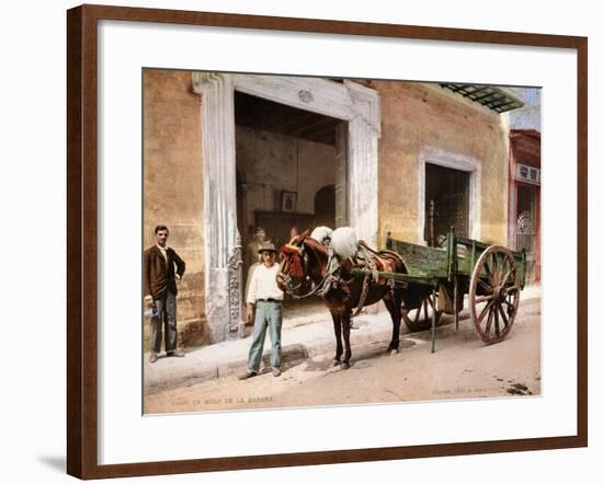 Un Mulo De La Habana, 1900-null-Framed Giclee Print