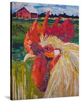 Un Petit Coq #2-40X34 2-null-Stretched Canvas