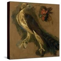 Un tiercelet et une tête de coq. Etude-Pieter Boel-Stretched Canvas