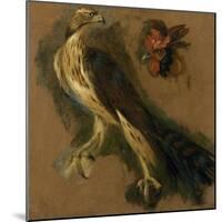 Un tiercelet et une tête de coq. Etude-Pieter Boel-Mounted Giclee Print