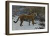 Un Tigre Dans La Neige  (A Tiger in the Snow) Peinture De Hugo Ungewitter (1869-1944) 1912 Collect-Hugo Ungewitter-Framed Giclee Print