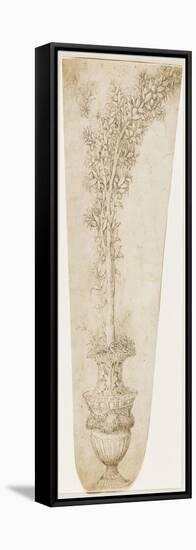 Un vase et une branche d'oranger-Andrea Mantegna-Framed Stretched Canvas