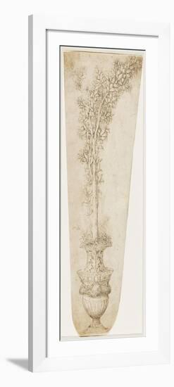 Un vase et une branche d'oranger-Andrea Mantegna-Framed Premium Giclee Print
