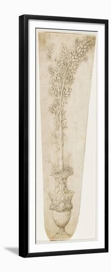 Un vase et une branche d'oranger-Andrea Mantegna-Framed Premium Giclee Print