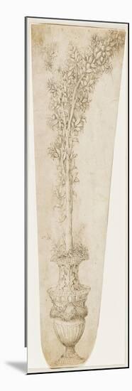 Un vase et une branche d'oranger-Andrea Mantegna-Mounted Premium Giclee Print