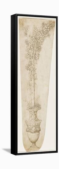 Un vase et une branche d'oranger-Andrea Mantegna-Framed Stretched Canvas