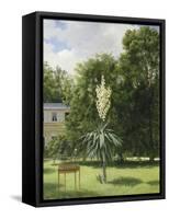 Un Yucca gloriosa dans le parc de Neuilly-Antoine Chazal-Framed Stretched Canvas