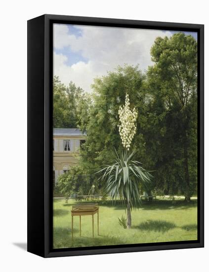 Un Yucca gloriosa dans le parc de Neuilly-Antoine Chazal-Framed Stretched Canvas