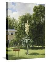 Un Yucca gloriosa dans le parc de Neuilly-Antoine Chazal-Stretched Canvas