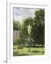 Un Yucca gloriosa dans le parc de Neuilly-Antoine Chazal-Framed Giclee Print