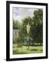 Un Yucca gloriosa dans le parc de Neuilly-Antoine Chazal-Framed Giclee Print