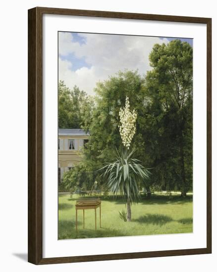 Un Yucca gloriosa dans le parc de Neuilly-Antoine Chazal-Framed Giclee Print