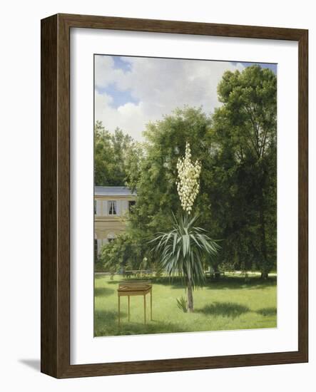 Un Yucca gloriosa dans le parc de Neuilly-Antoine Chazal-Framed Giclee Print