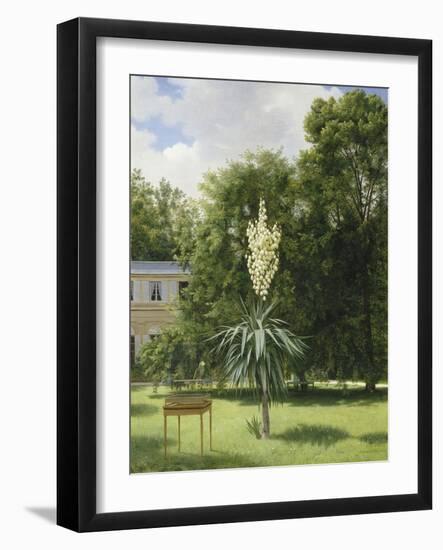 Un Yucca gloriosa dans le parc de Neuilly-Antoine Chazal-Framed Giclee Print