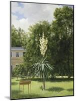 Un Yucca gloriosa dans le parc de Neuilly-Antoine Chazal-Mounted Giclee Print