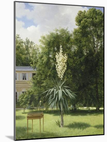 Un Yucca gloriosa dans le parc de Neuilly-Antoine Chazal-Mounted Giclee Print