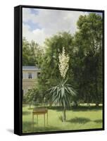 Un Yucca gloriosa dans le parc de Neuilly-Antoine Chazal-Framed Stretched Canvas