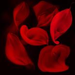 Red Flowers-Unaciertamirada-Mounted Photographic Print
