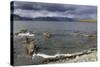 Unalaska Bay, Dutch Harbor, Aleutian Islands, Alaska, United States of America, North America-Richard Cummins-Stretched Canvas