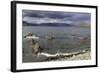 Unalaska Bay, Dutch Harbor, Aleutian Islands, Alaska, United States of America, North America-Richard Cummins-Framed Photographic Print