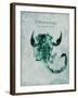 Unassailable Scorpion-Albert Koetsier-Framed Art Print