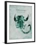 Unassailable Scorpion-Albert Koetsier-Framed Art Print