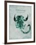 Unassailable Scorpion-Albert Koetsier-Framed Art Print