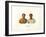 Unawolla and Taruri-Ambroise Tardieu-Framed Giclee Print